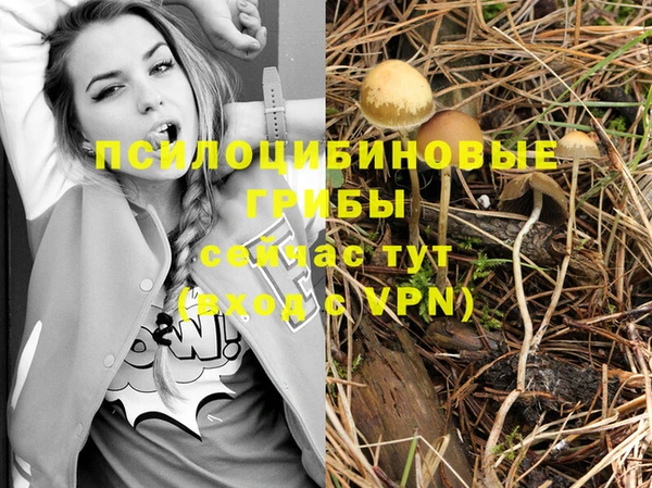 мяу мяу мука Белоозёрский